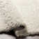 Gilkey Indoor Rug