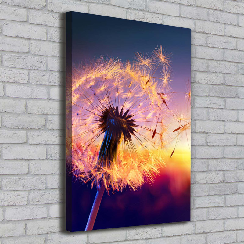 Dandelion - Wrapped Canvas Print