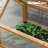 Tekoa 1.6Ft x 3Ft Cold Frame