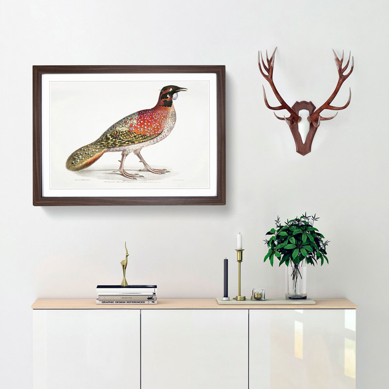 Pennant's Horned Pheasant by John Edward Gray - Picture Frame Painting Print, 27cm H x 36cm W x 2cm D, Walnut Framed