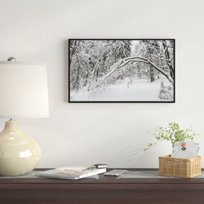 " Foggy Black And White Winter Forest "