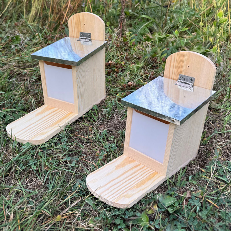 Wall Squirrel Feeder