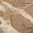 Delaria Tulip Fossil Marble End Table