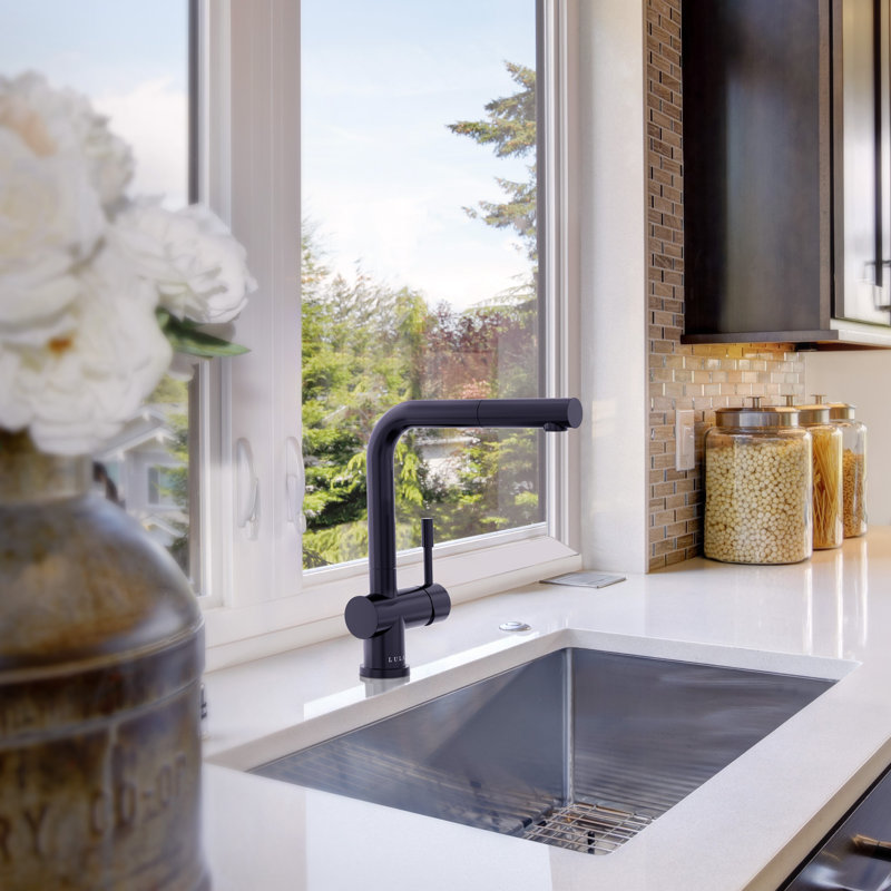 Lulani Nassau Pull Out head (no spray feature) Single Handle Kitchen Faucet, Steel Black