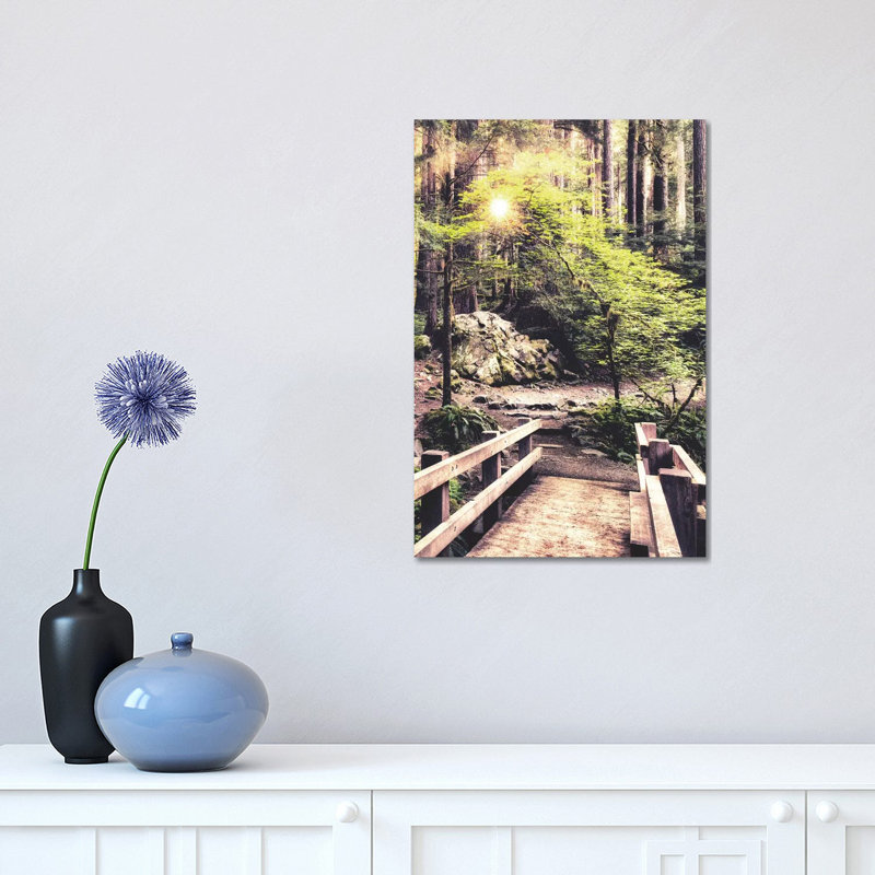 Sunlight On The Forest Path by Andy Amos - Print on Canvas, 30.48 cm H x 45.72 cm W, Wrapped Canvas