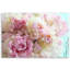 Pink Peony Flowers - No Frame Print on Canvas