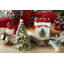 Spode Christmas Tree Fig S&P Tree & Gift Box