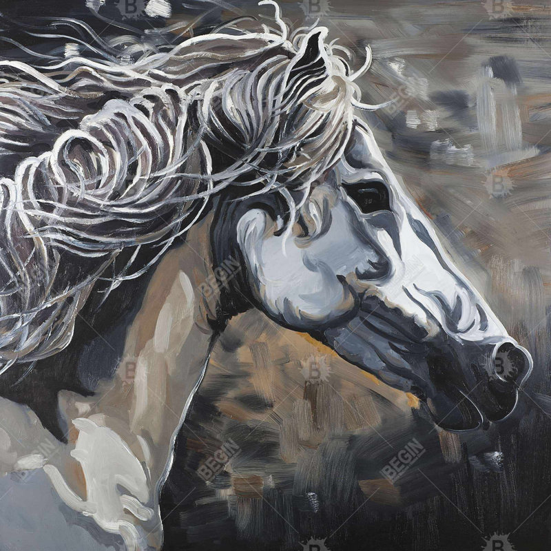 " Side Of A Wild Horse "