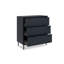 Aydren Modern Storage Unit Accent Chest