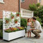 Planter Box-1670867160-1670867167