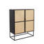 Guuji Accent Cabinet
