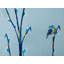 Pussywillows Print by Phyllis Adams-416534467