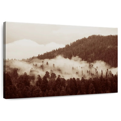 Alvord sépia Misty Forest