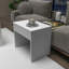 Ensemble de tables basses-1203586576
