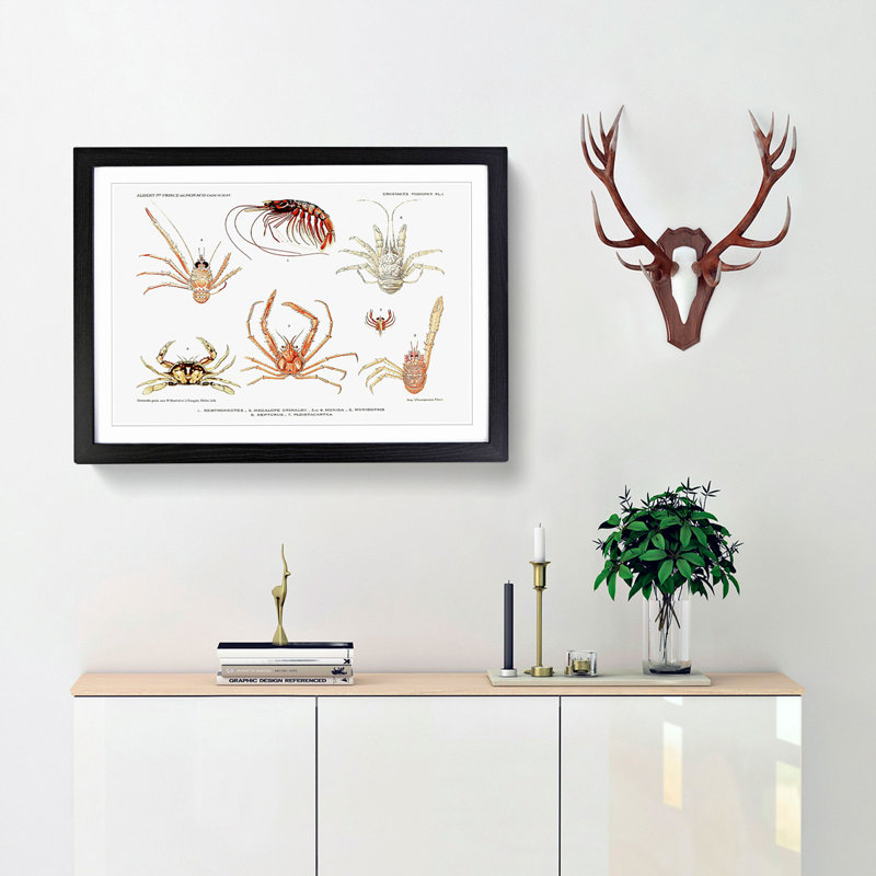 Crabs & Shrimps by Albert I - Framed Print, Black Framed, 36cm H x 48cm W x 2cm D