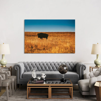 Wild Buffalo par Bethany Young - reproduction de photo sur toile tendue