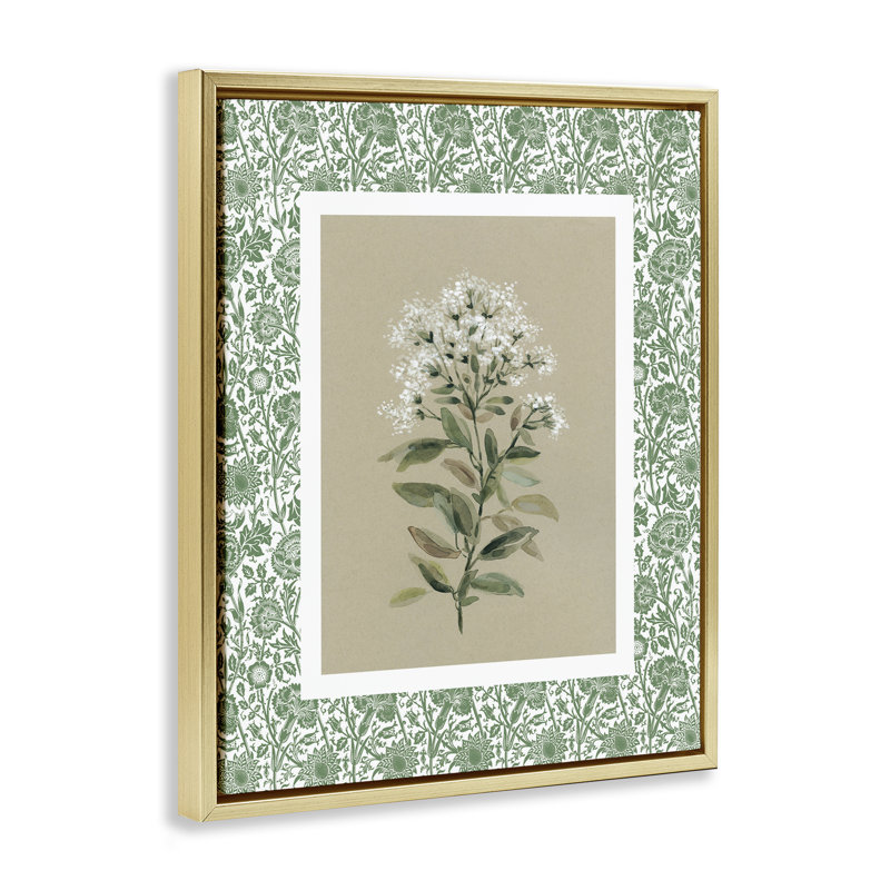 Plante sur cadre flottant botanique vert, design par Carol Robinson, Cadre flottant métallique doré, H 31 po x l 25 po