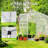250" x 190" Greenhouse
