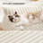 Cat Couch for Pets White Medium-1723686110-1723686108