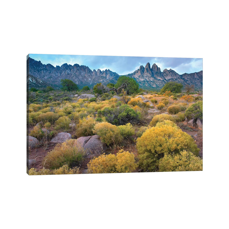 Organ Mountains, Chihuahuan Desert, New Mexico II by Tim Fitzharris - Wrapped Canvas Print