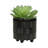 Versatile Ceramic Planters for All Settings, Enhancing Your Greenery-1545356016