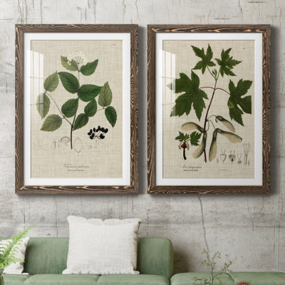 Lin et feuilles I - ensemble de 2 reproductions d'art sur papier encadré