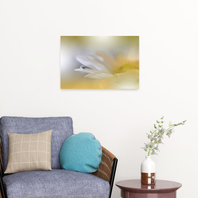 Morning Dewdrop Daisy Delicate Ethereal Serene Daisy Flower Nature Wall Art Print 1 Piece Wrapped Canvas Wall Art
