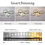 Ceiling Fan-1037234800