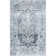 Boylan Oriental Indoor Rug