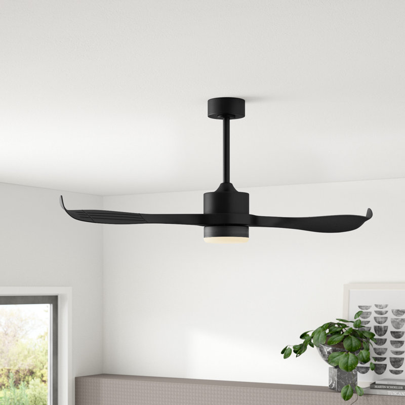 Ventilateur de plafond 52 po à 2 pales DEL 52 po avec télécommande et ensemble d'éclairage inclus Popovich, Noir