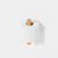 Estell Wall Mounted Toilet Paper Holder-1457746814