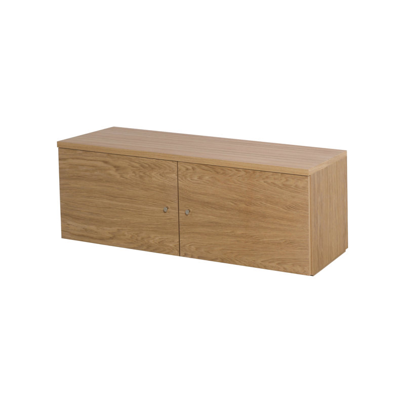 Agustin Unfinished TV Stand for TVs up to 50"