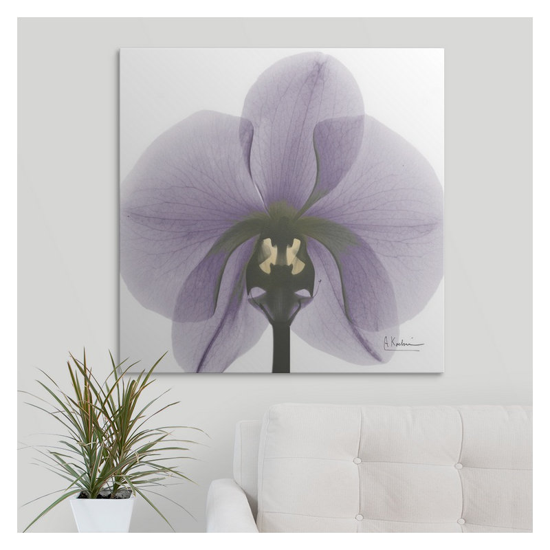 'Orchid X-Ray by Albert Koetsier Photographic Print, 20" H x 20" W x 1.5" D, Canvas