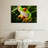 Brampt Tree Frog-107850617
