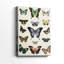 Flutterbys II - Cavas enveloppés de galerie-85924578