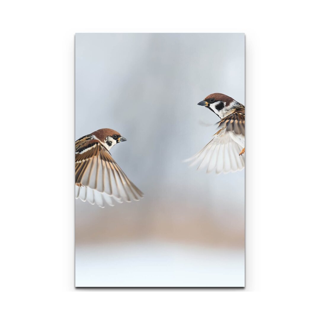 Leinwandbild Fliegende Sperlinge