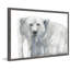 « polar bear », reproduction d’art encadrée-21128541
