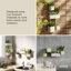Cubiko Wall-Mounted Planter Set of 4 Aesthetic Pots-120951362