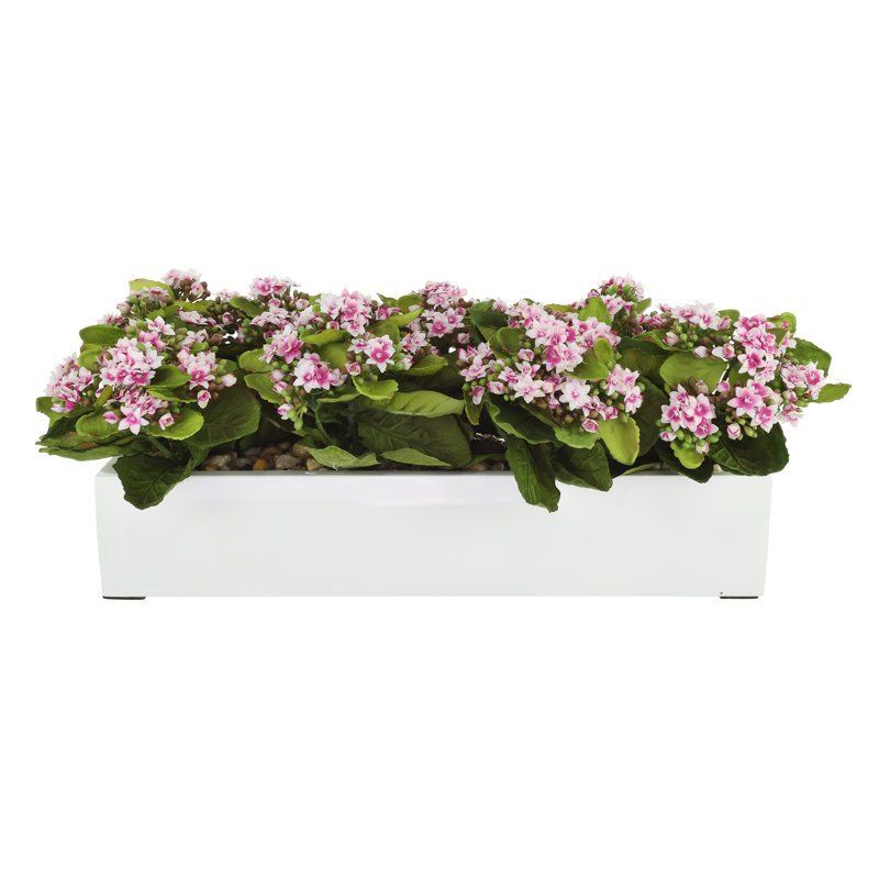 Kalanchoe Arrangement in Fiberstone Planter, Purple/White, 9.5" H x 23" W x 9.5" D