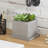 Square Concrete Succlent Pot Planter