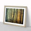 An Enthralling Forest - Framed Print-1442809896-1442809897