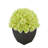 Fabric Hydrangea Arrangement in Pot-1488260804-1553681568