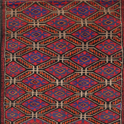 Oriental Indoor Rug