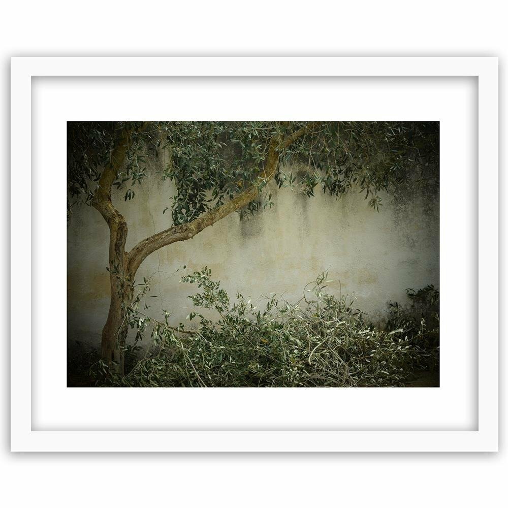 Gerahmter Fotodruck Baum an der Wand