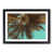 Black Framed selected