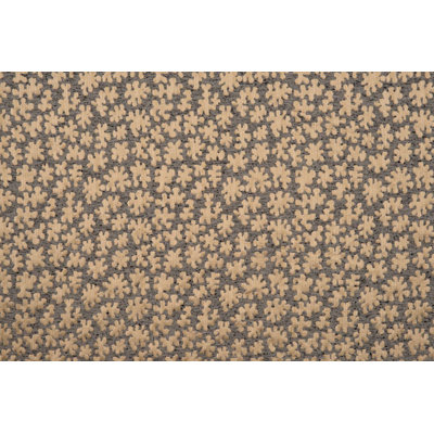 Hinson Library Joanna Fabric
