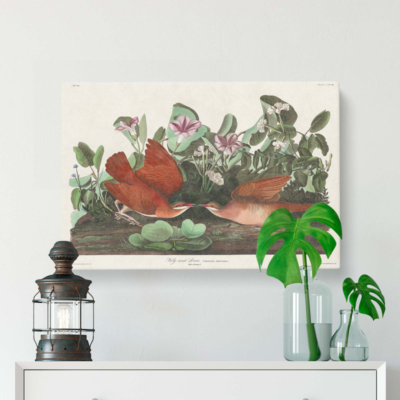 Key-west Doves by John Audubon - Wrapped Canvas Painting, 40cm H x 60cm W x 3cm D