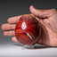 Genuine Polished Red Jasper (3") Egg from Madagascar