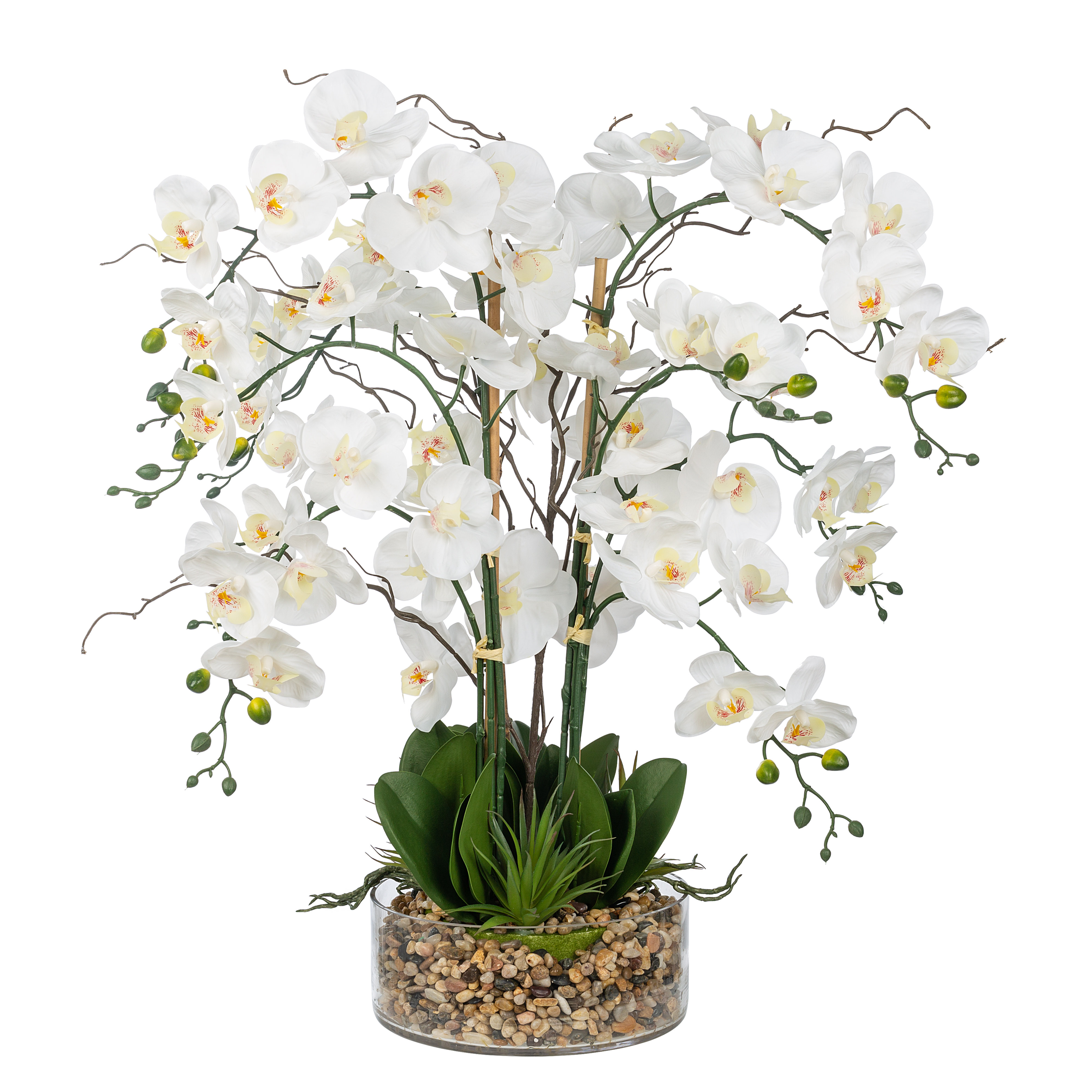 Vanity Art Artificial Phalaenopsis Orchids Floral Arrangement in Glass ...