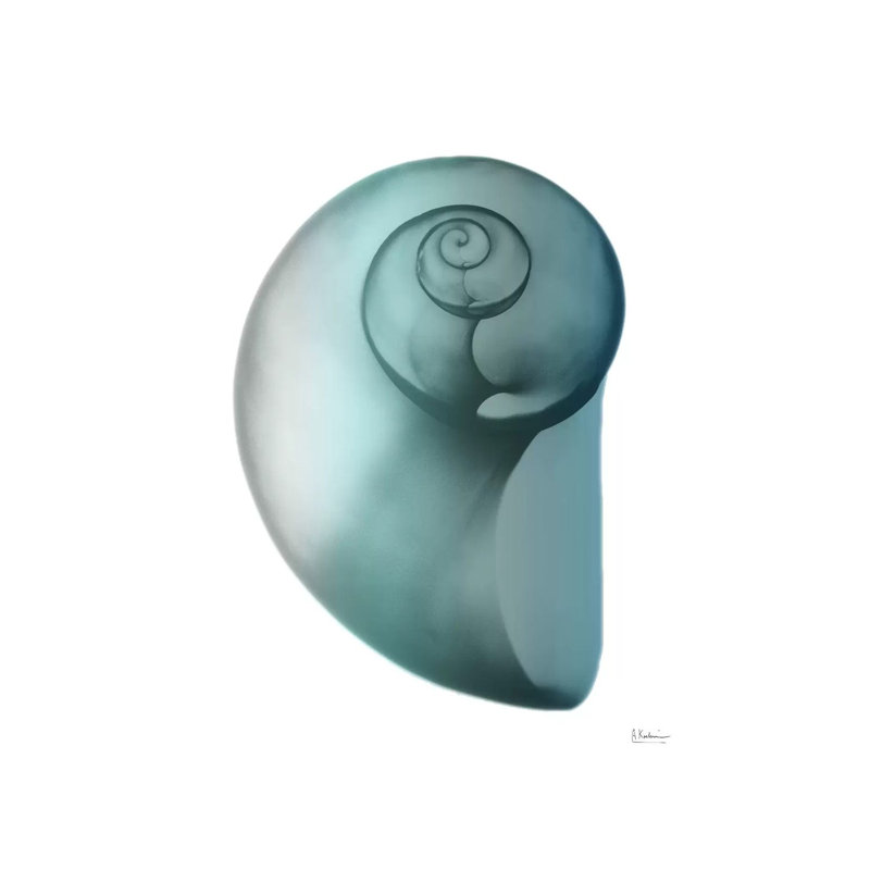 Water Snail II by Albert Koetsier - Wrapped Canvas Print, 45.72 cm H x 45.72 cm W x 3.175 cm D